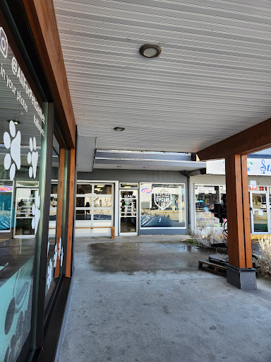 MIDDLECHILD Gallery - Canada