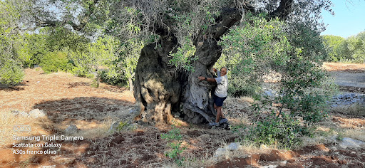 Le chiuserotte - Visual