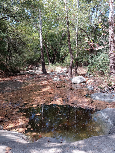 Hamilton Greenbelt - Thumbnail