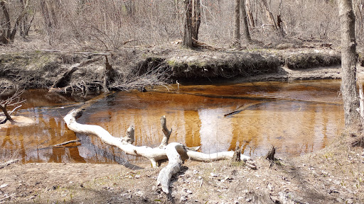 Whitney Brook Trail - Thumbnail