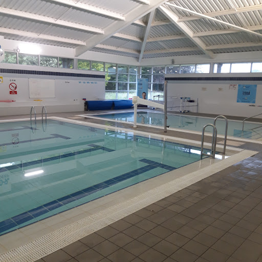 The Fun Pool - Visual