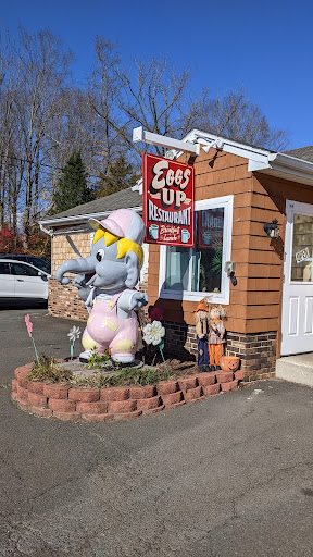 Eggs Up Restaurant