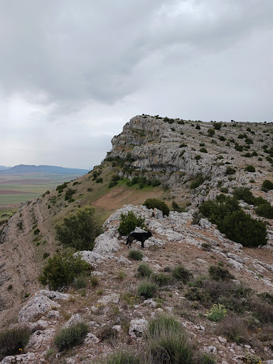 Sierra del Costanazo - Thumbnail