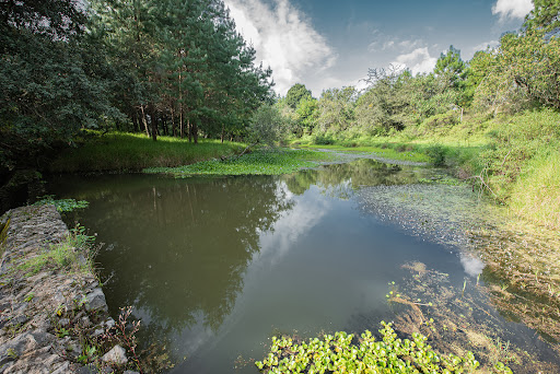 Camping Terra Nostra - Thumbnail