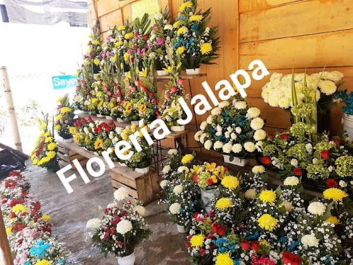 Floristería Jalapa - Thumbnail