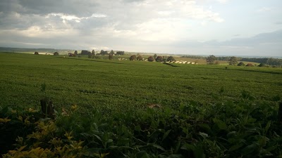 Photos of University of Kabianga