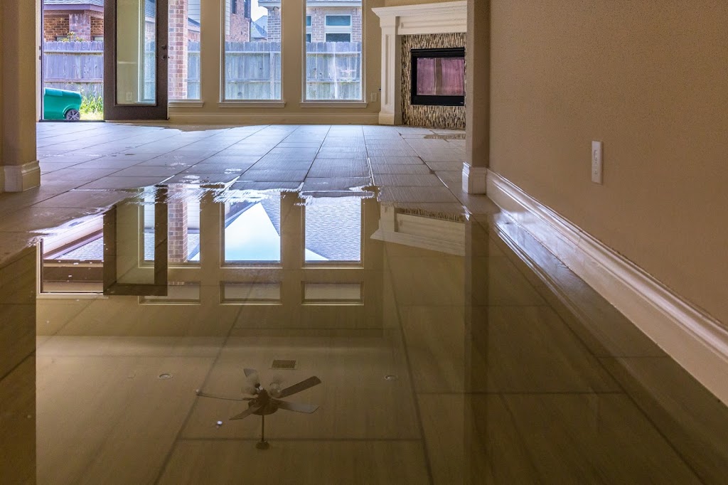 The Mold Pros, LLC photo