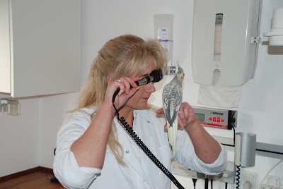 Photos of Hjortek&aelig;r Dyreklinik
