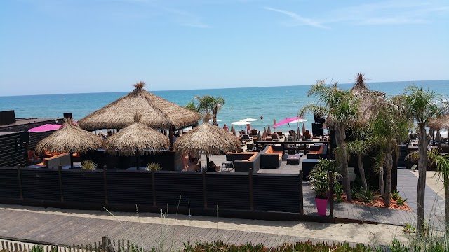 La Baie des Cochons