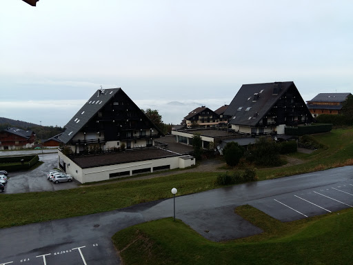 Thollon Immobilier - Thumbnail