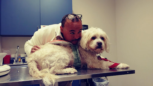 Affordable Animal Hospital: Eagle Rock - Thumbnail