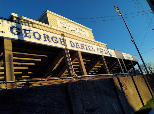 George Daniel Field - Visual
