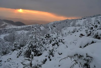 Mali i "Bukanikut" Gjinar