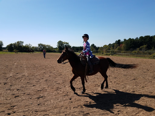 A to Z Training Stables