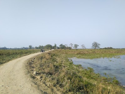 Kaziranga National Park