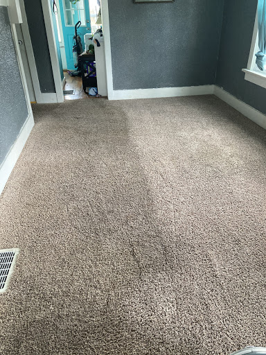 Sharp Chem-Dry - Visual