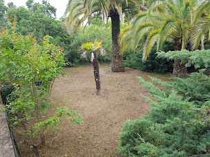 Photo n°20 de Espace vert jdc 2a à Ajaccio (Paysagiste)