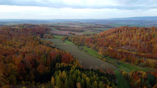 Jützebachblick - Visual