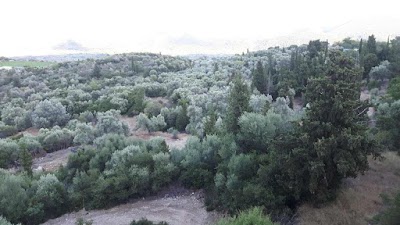 Photos of San Pedro