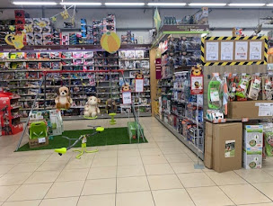 Photo n°3 de King Jouet Orchestra à Houdemont (Magasin de miniatures)