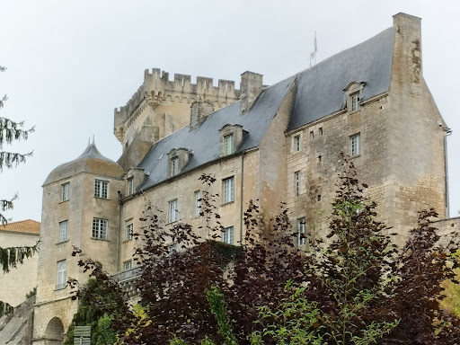 Donjon Médiéval de Pons - Thumbnail