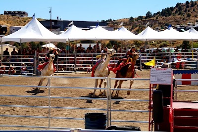 Virginia City Arena & Fairgrounds