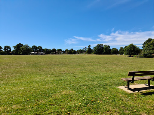 Lindfield Common - Visual