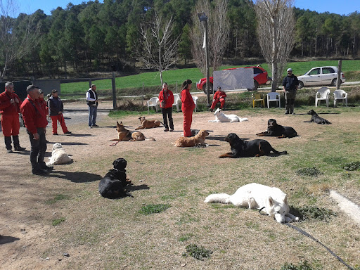 Residència canina Barcelona Els Tres Pins