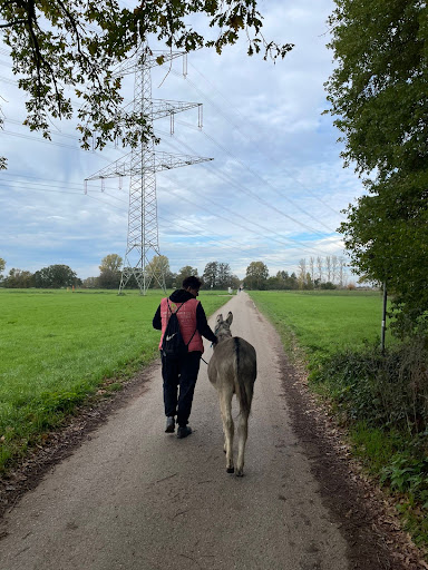 Esel (Traum-)Touren - Thumbnail