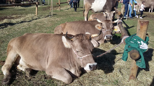 Cascina Felice Azienda agricola di Fabio Rainelli - Thumbnail