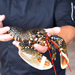 Photo n°9 de La Table de la Villa à Perros-Guirec (Restaurant)