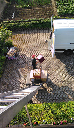 Entrümpelung LAO Leverkusen