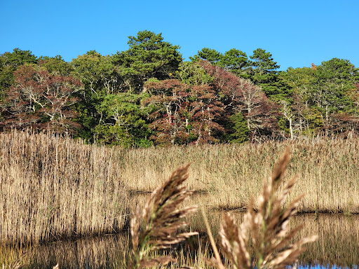 Bell’s Neck Conservation Lands - Thumbnail