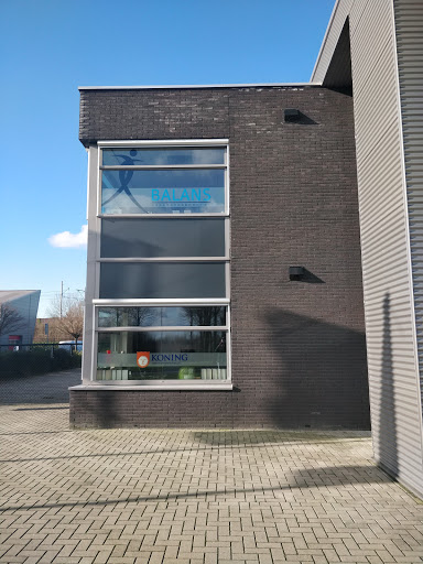 Koning - Visual