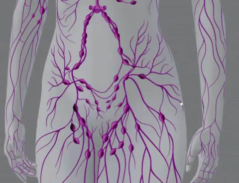 SamLyden Specialised Therapy - Auckland