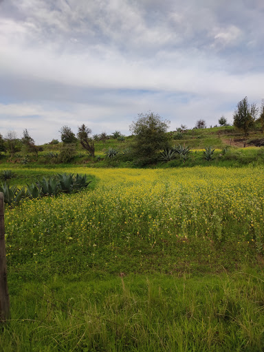 San Felipe Hidalgo, Sanctuary firefly - Thumbnail