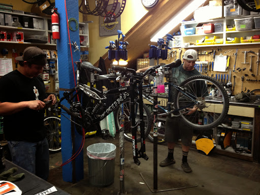 Big Al's Bicycle Heaven - Thumbnail