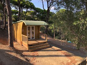 Photo n°5 de Camping Municipal La Pinède à Banyuls-sur-Mer (Terrain de camping)