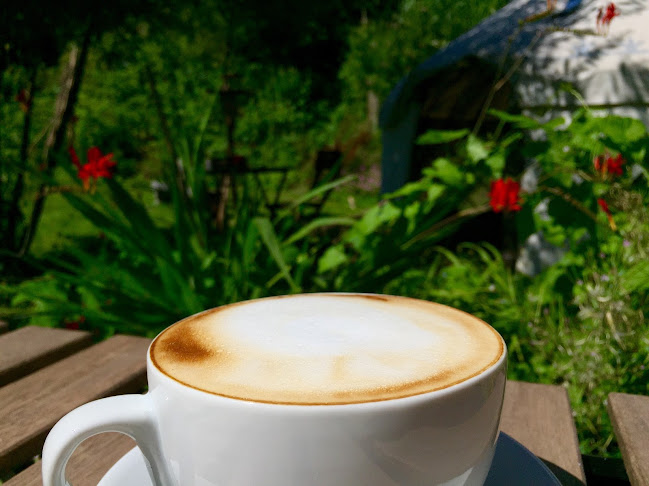 Comments and reviews of The Green Wood Café