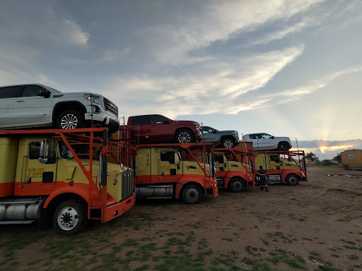 Transportes Larmex Silao Gallery - Mexico