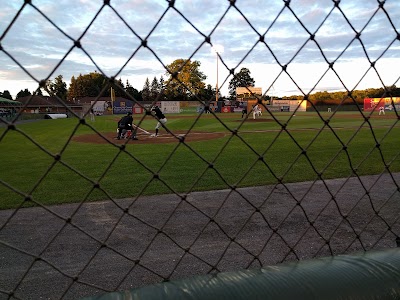 Auburn Doubledays