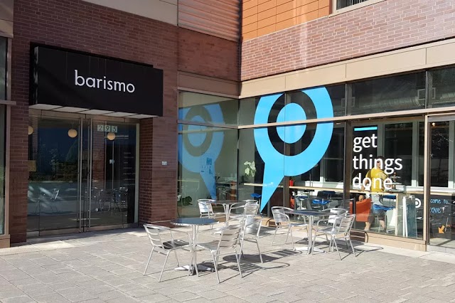 barismo 295