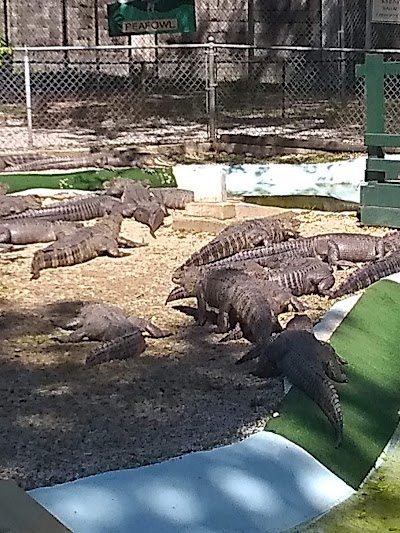 Arkansas Alligator Farm & Petting Zoo