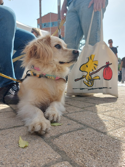 ΜΑΡΙΑ ΔΕΣΠΟΤΗ - MD VET