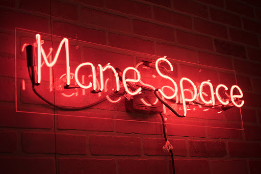 Mane Space - Visual