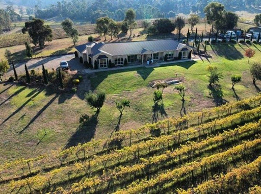 Corniola Wines - Visual
