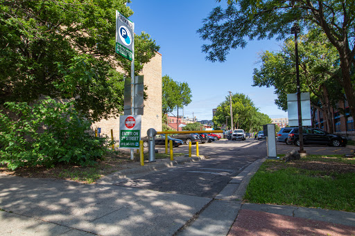 Cedar Lot - Visual