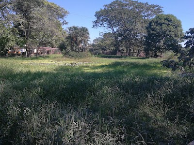 Photos of Palmeras De La Costa S.A