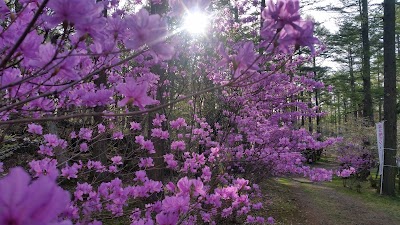 Photos of Sozonomori Day Camping Ground