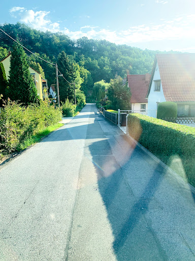 berg26 - Visual